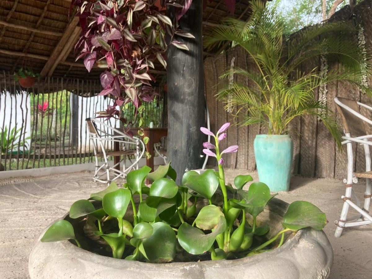Botanica Eco Lodge Michamvi Exteriér fotografie