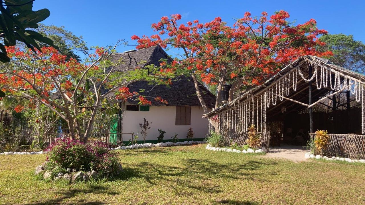Botanica Eco Lodge Michamvi Exteriér fotografie