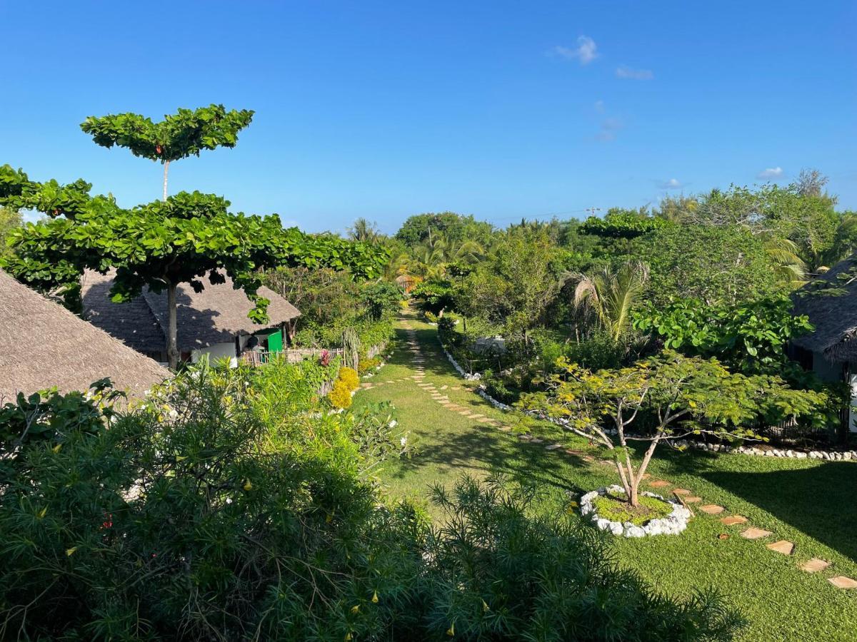 Botanica Eco Lodge Michamvi Exteriér fotografie